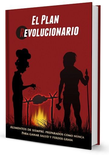 el-plan-revolucionario